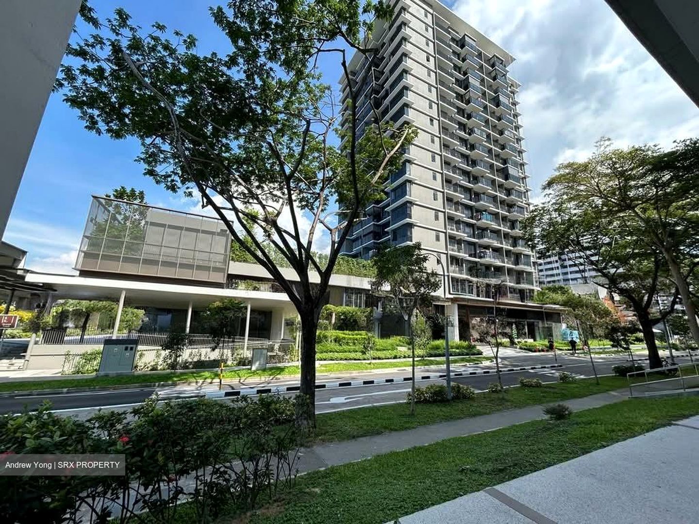Bedok Central (D16), Shop House #556563821